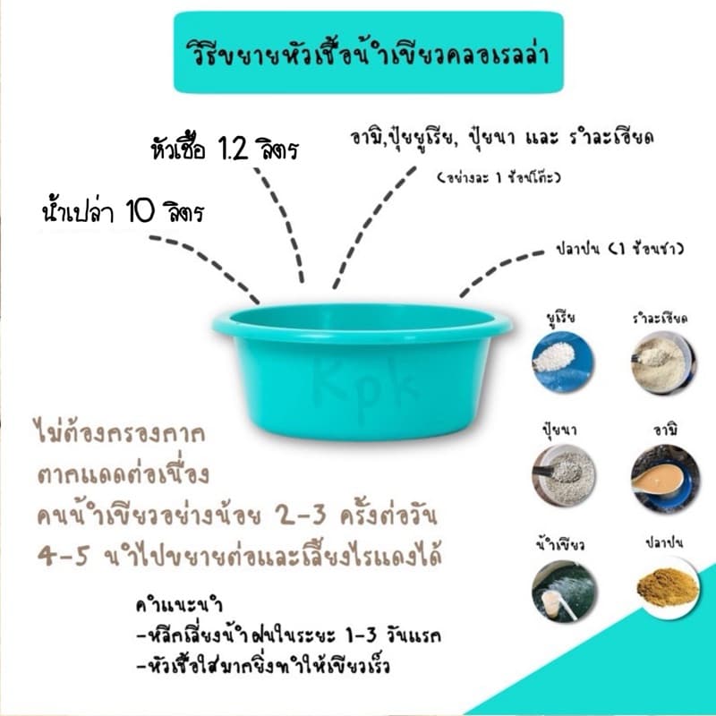 KPK ชุดเพาะไรแดง ชุดทำน้ำเขียว หัวเชื้อเข้มข้น ขยายเร็วเขียวไวไรแดงบูม รูปที่ 5