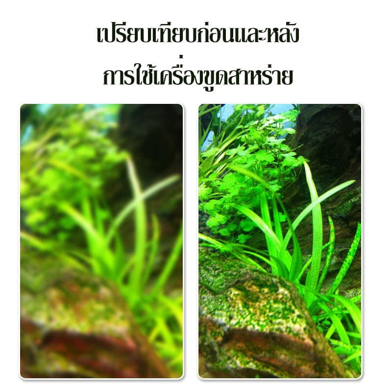 coralcoveshop ที่ขูดสาหร่ายตู้ปลา สารกำจัดสาหร่าย เครื่องมือทําความสะอาดตู้ปลา กําจัดสาหร่าย อุปกรณ์เสริมตู้ปลา รูปที่ 7