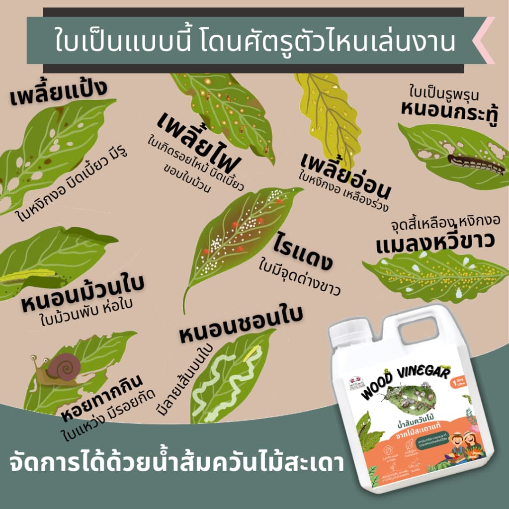 น้ำส้มควันไม้ 5 ลิตร สูตรเข้มข้น100% ไล่เห็บหมัด ไร ยุง แมลง ลดอาการคัน ดับกลิ่น รูปที่ 3