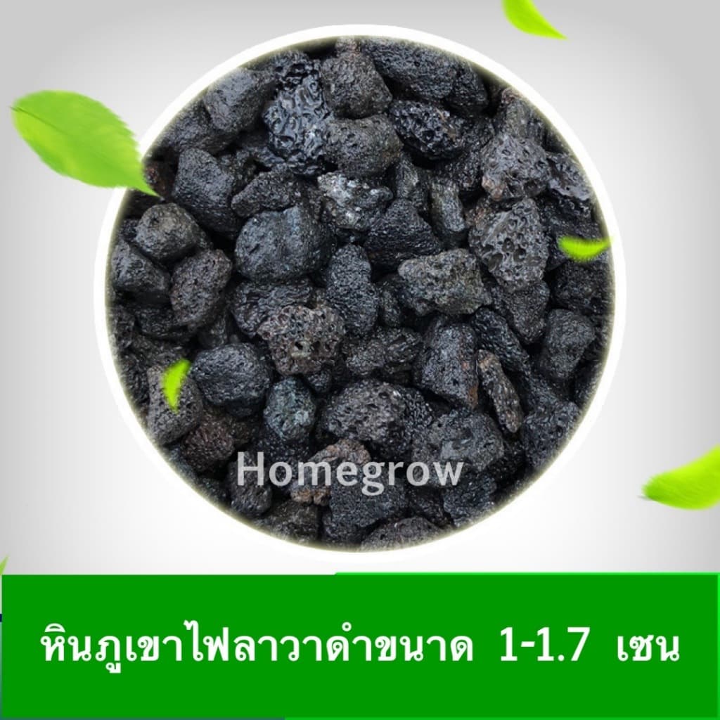 หินภูเขาไฟลาวา หินลาวาดำ หินลาวาแดง | ผสมดินปลูก โรยหน้ากระถาง ใส่บ่อปลา รูปที่ 5