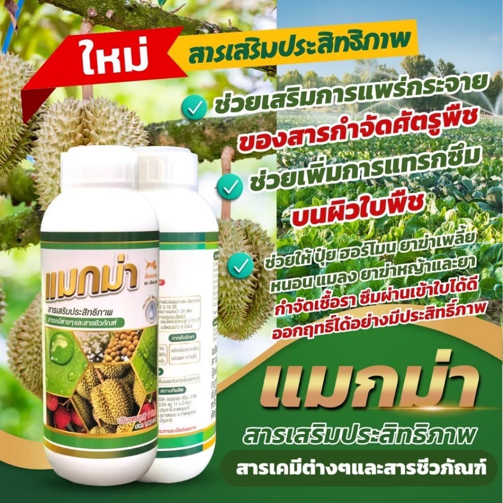 แมกม่าลาวา แมกม่า สารจับใบ ต้านเพลี้ยลดการหลุดร่วง + ปุ๋ยนำ้ลาวา เร่งฟื้นฟูต้น เพิ่มปริมาณผลผลิต รูปที่ 3