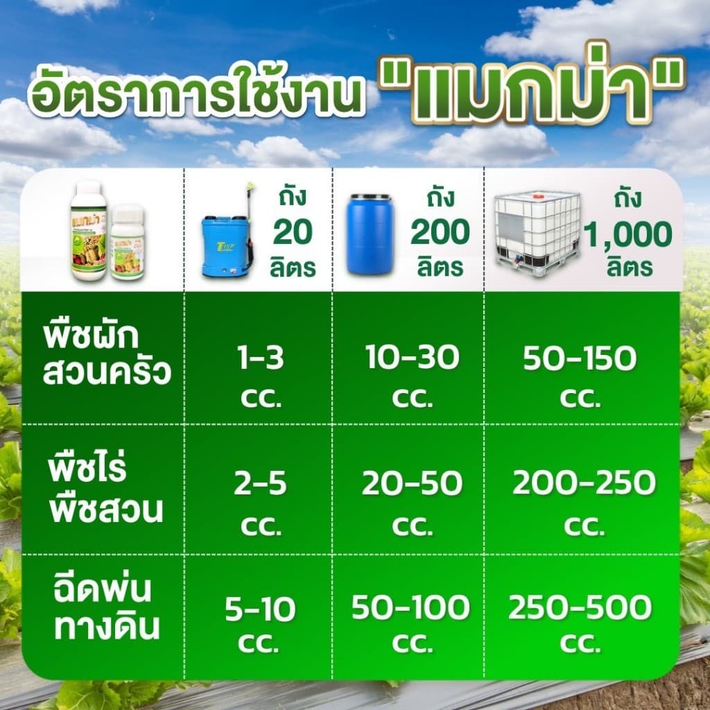 แมกม่าลาวา แมกม่า สารจับใบ ต้านเพลี้ยลดการหลุดร่วง + ปุ๋ยนำ้ลาวา เร่งฟื้นฟูต้น เพิ่มปริมาณผลผลิต รูปที่ 9