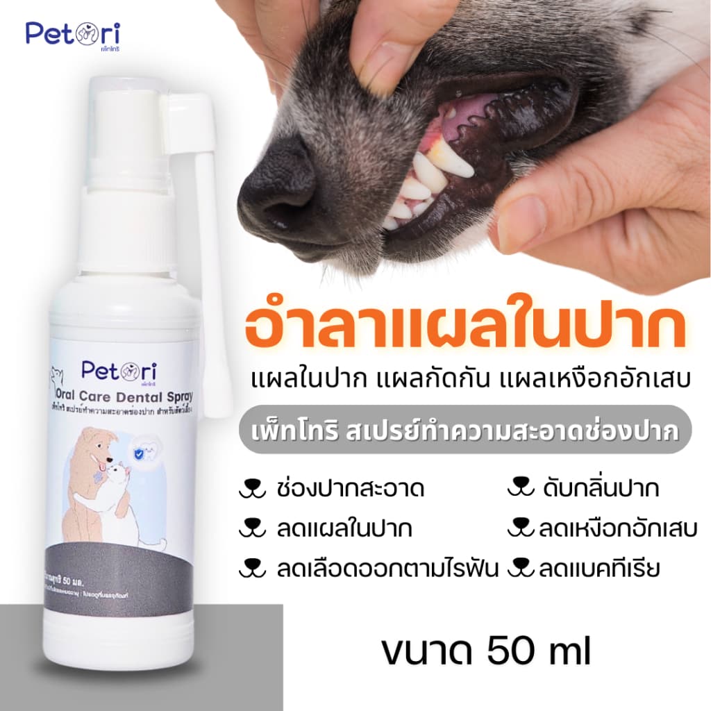 Petori Oral Care Dental Spray 50 ml สเปรย์พ่นแผลในช่องปาก รูปที่ 2