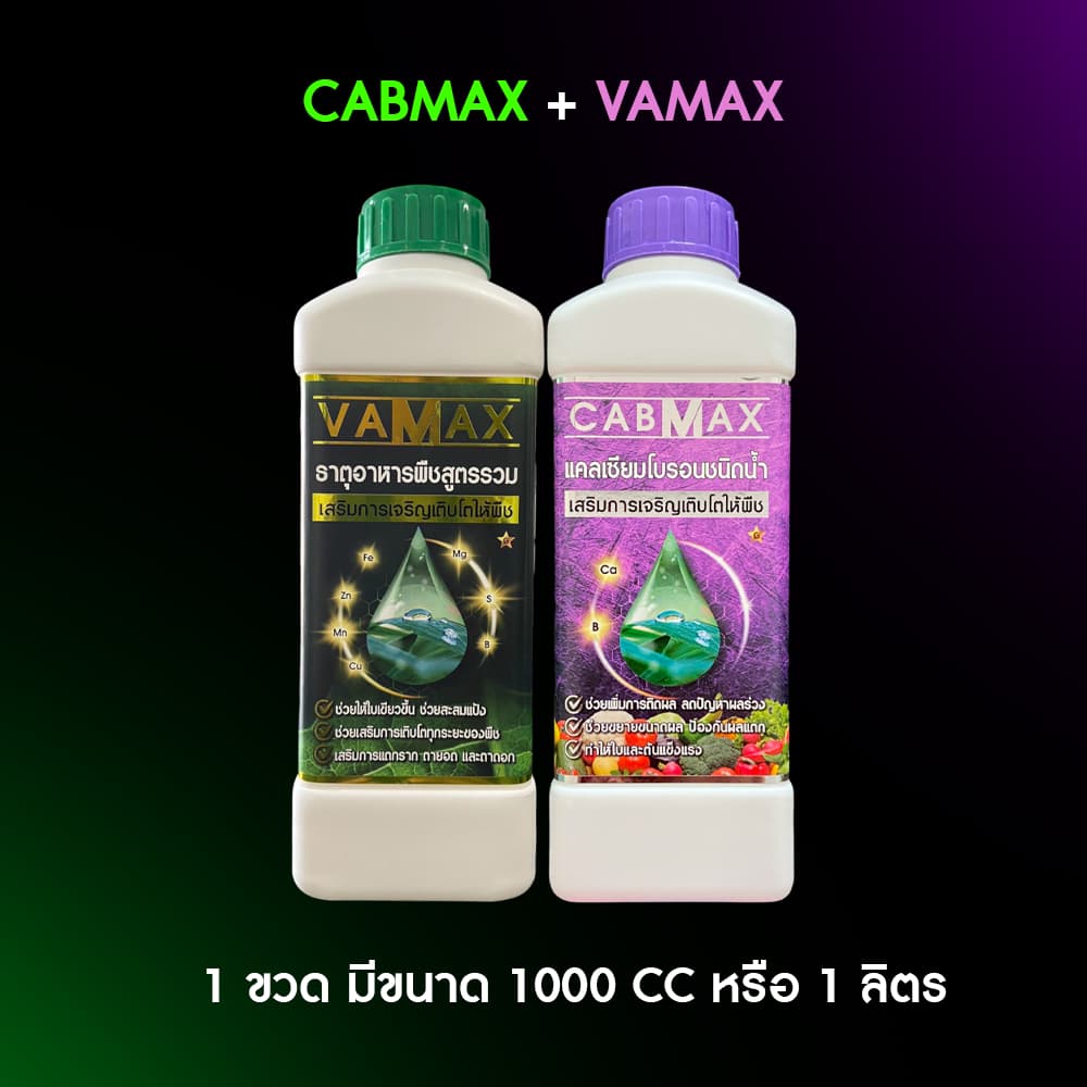 CABMAX แคลเซียมและโบรอนเข้มข้น + VAMAX ธาตุอาหารรวมเข้มข้น 2 ลิตร รูปที่ 6