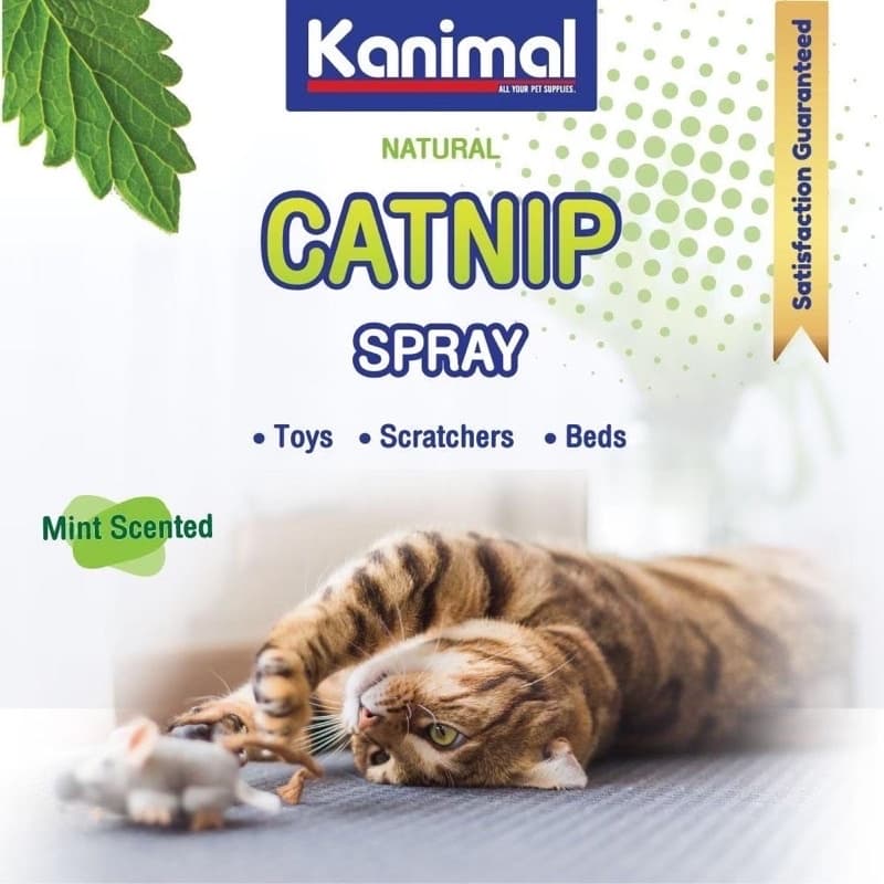 Kanimal Catnip Spray & Matatabi สเปรย์แคทนิป มาทาทาบิ กัญชาแมว ให้แมวผ่อนคลาย ลดความเครียด มี 2 ขนาด รูปที่ 6