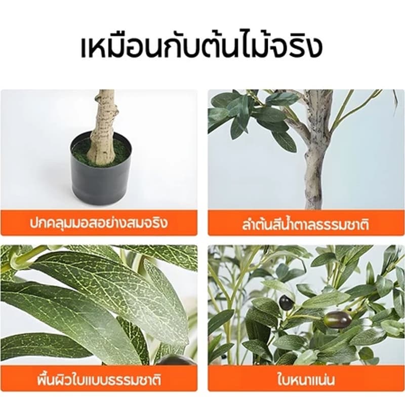 ต้นโอลีฟ ต้นมะกอกปลอม ลำต้นสีน้ำตาลเหมือนของจริง พืชจำลอง ยากที่จะบอกจริงจากเท็จ 120/150/180cm รูปที่ 4