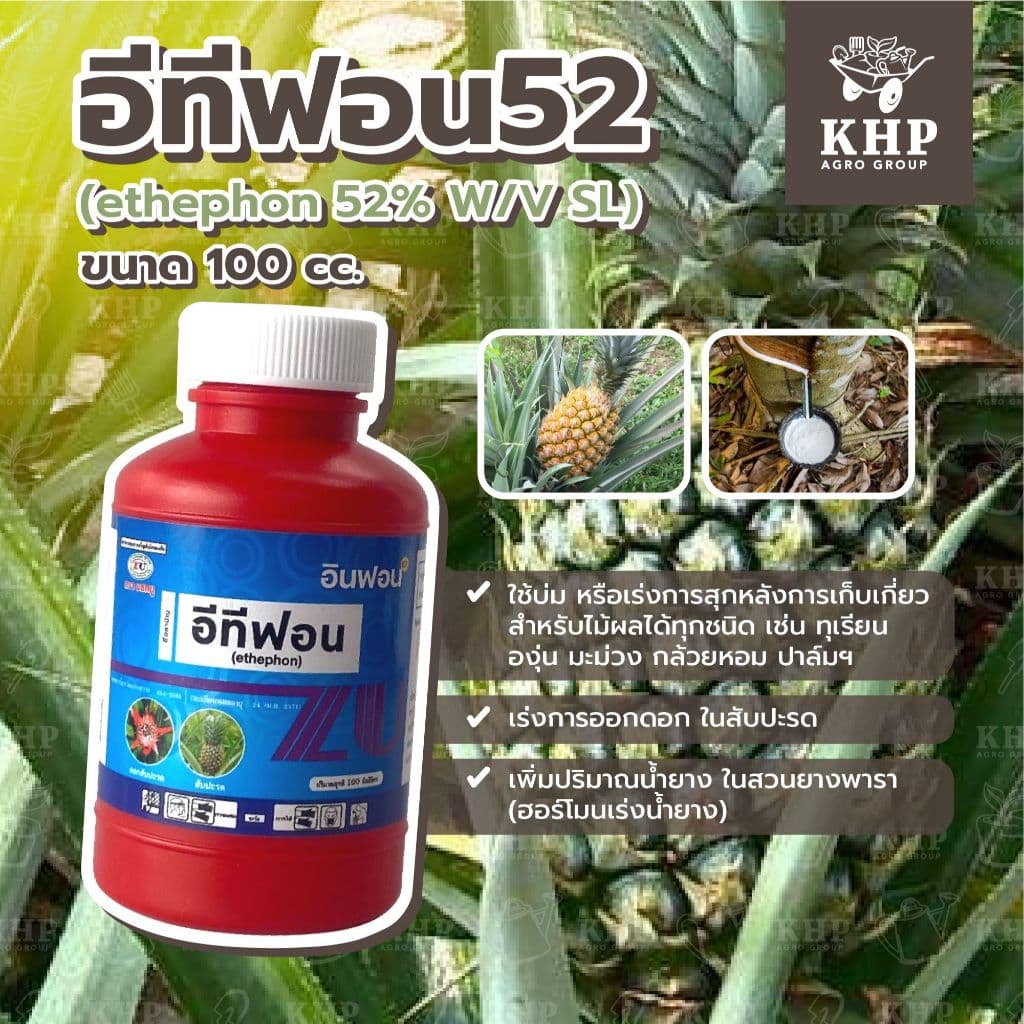 ⭐ อีทีฟอน52 แซดยู ⭐ สูตรเข้มข้น เร่งการสุก ป้ายขั้ว บ่มผลไม้ ทุเรียน เร่งดอก ยาหยอดสับปะรด เร่งน้ำยางพารา 100 cc รูปที่ 1