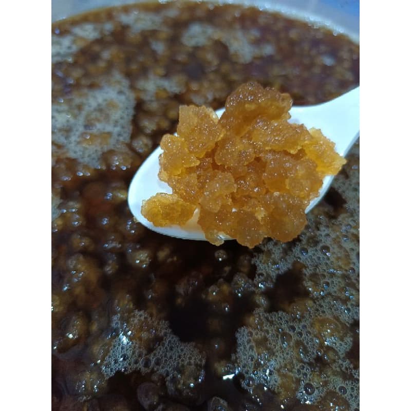 Water Kefir grains 100g premium quality เกรนคีเฟอร์น้ำ รูปที่ 2