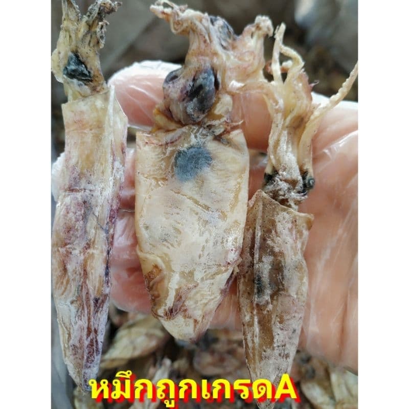 สด ปลาทูแดง 1kg ปลาทูหวานแดง ปลาหวานแดง ปลาทูหวานขาว ปลาหวานงา ปลาเส้นงา ริวกิว ปลาข้างเหลืองงา ปลาหมึก ปลาวง ปลาไล้กอ รูปที่ 7