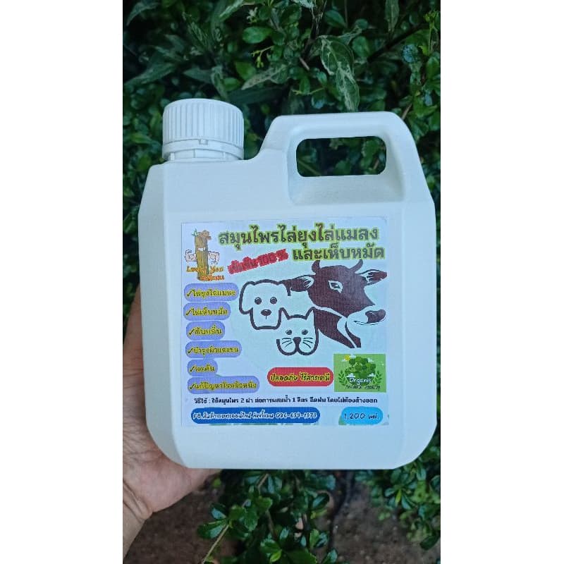 แกลลอน 1,200 ml.สมุนไพรไล่ยุงไล่แมลงและเห็บหมัด "ลัคกี้แมน" ไล่ยุง ไล่แมลง ไล่เห็บหมัด ดับกลิ่น รูปที่ 4