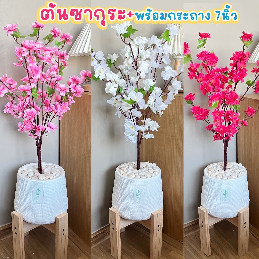 ต้นซากุระ ต้นซากุระขาว พร้อมกระถาง7นิ้ว ต้นไม้ปลอม รูปที่ 1