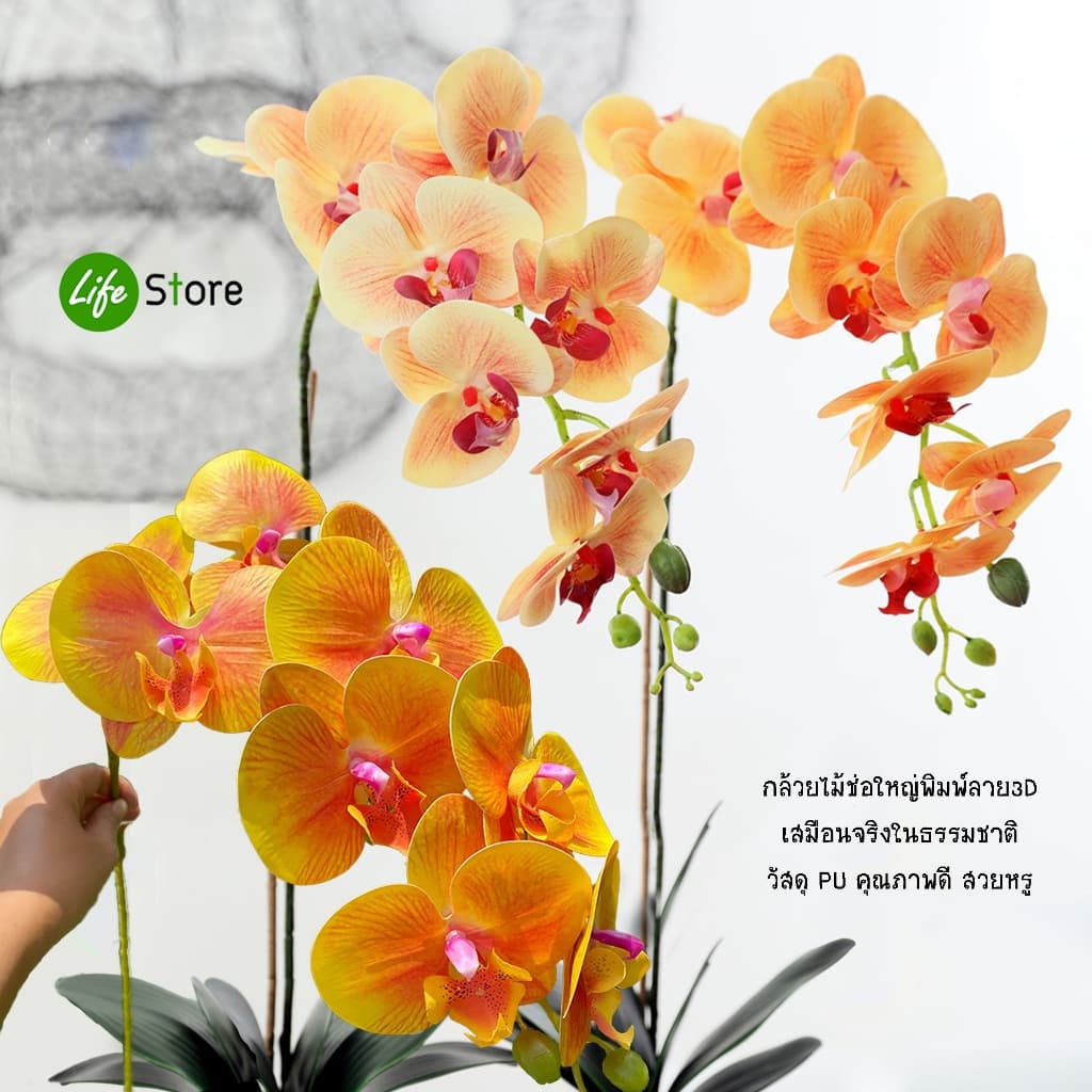 ช่อดอกกล้วยไม้ ฟาแลนนอปซิส ผลิตจากวัสดุ PU คุณภาพดี พิมพ์ลายเสมือนจริง หรูหรา สวยงาม รูปที่ 6