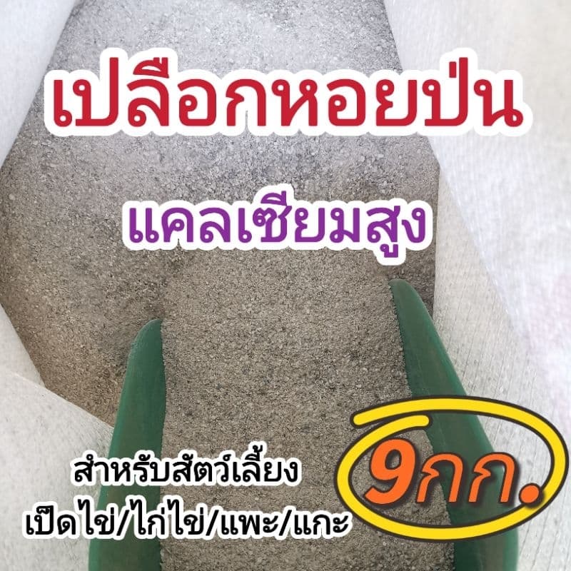 เปลือกหอยป่น​ แคลเซียมสูง​สำหรับสัตว์​ ​ รูปที่ 1