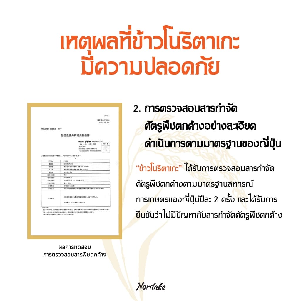 ข้าวญี่ปุ่นโคชิฮิคาริ 5 kg ตรา Noritake รูปที่ 4