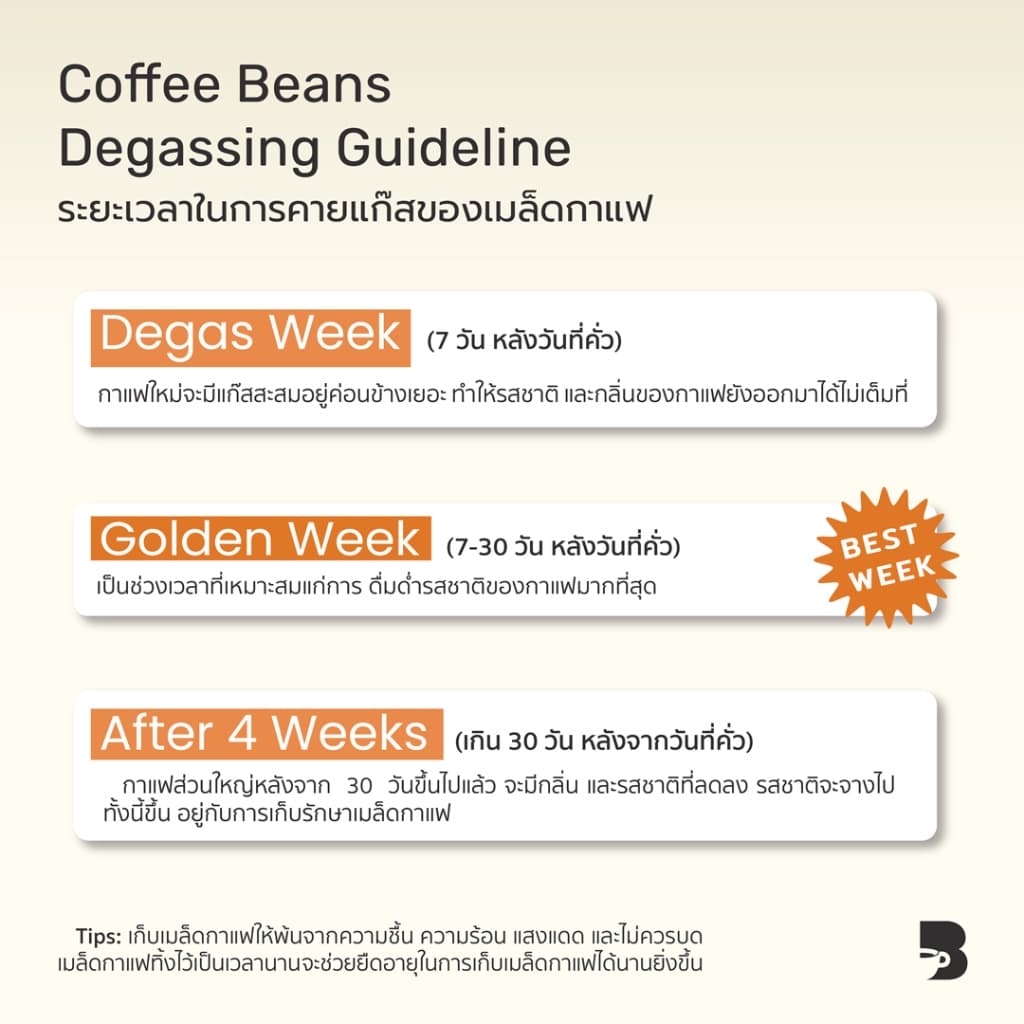เมล็ดกาแฟ คั่วอ่อน - Red Fruit Blend The Baristro Signature รูปที่ 3