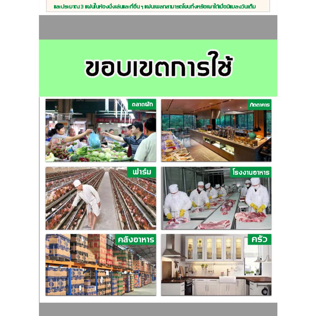 จับแมลงวัน1000ตัวได้ กาวดักแมลงวัน ที่ดักแมลงวัน แผ่นติดแมลงวัน กาวติดแมลงวัน แผ่นดักแมลงวัน ดักแมลงว รูปที่ 8