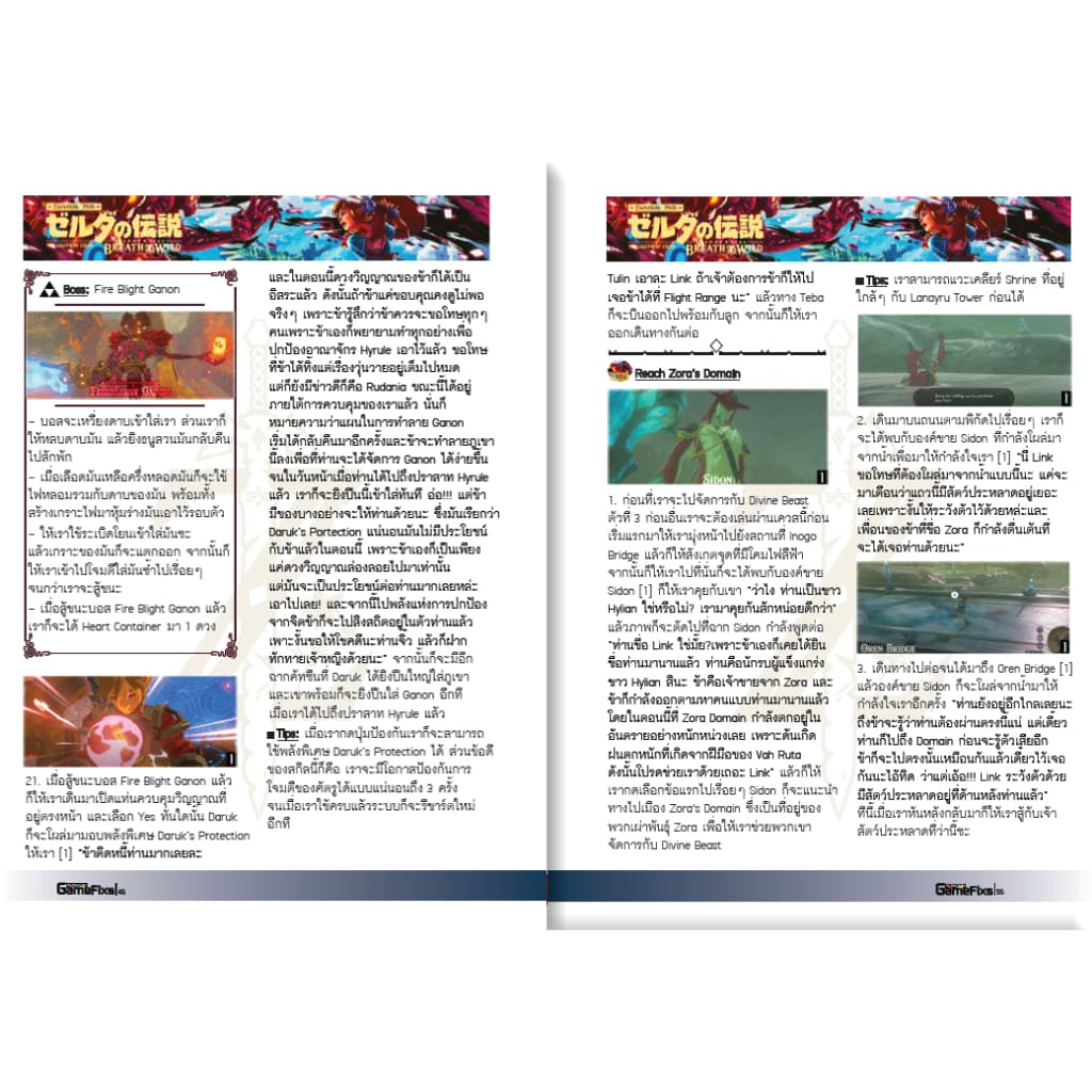 บทสรุปเกม The Legend of Zelda: Breath of the Wild - Expansion Pass รูปที่ 3