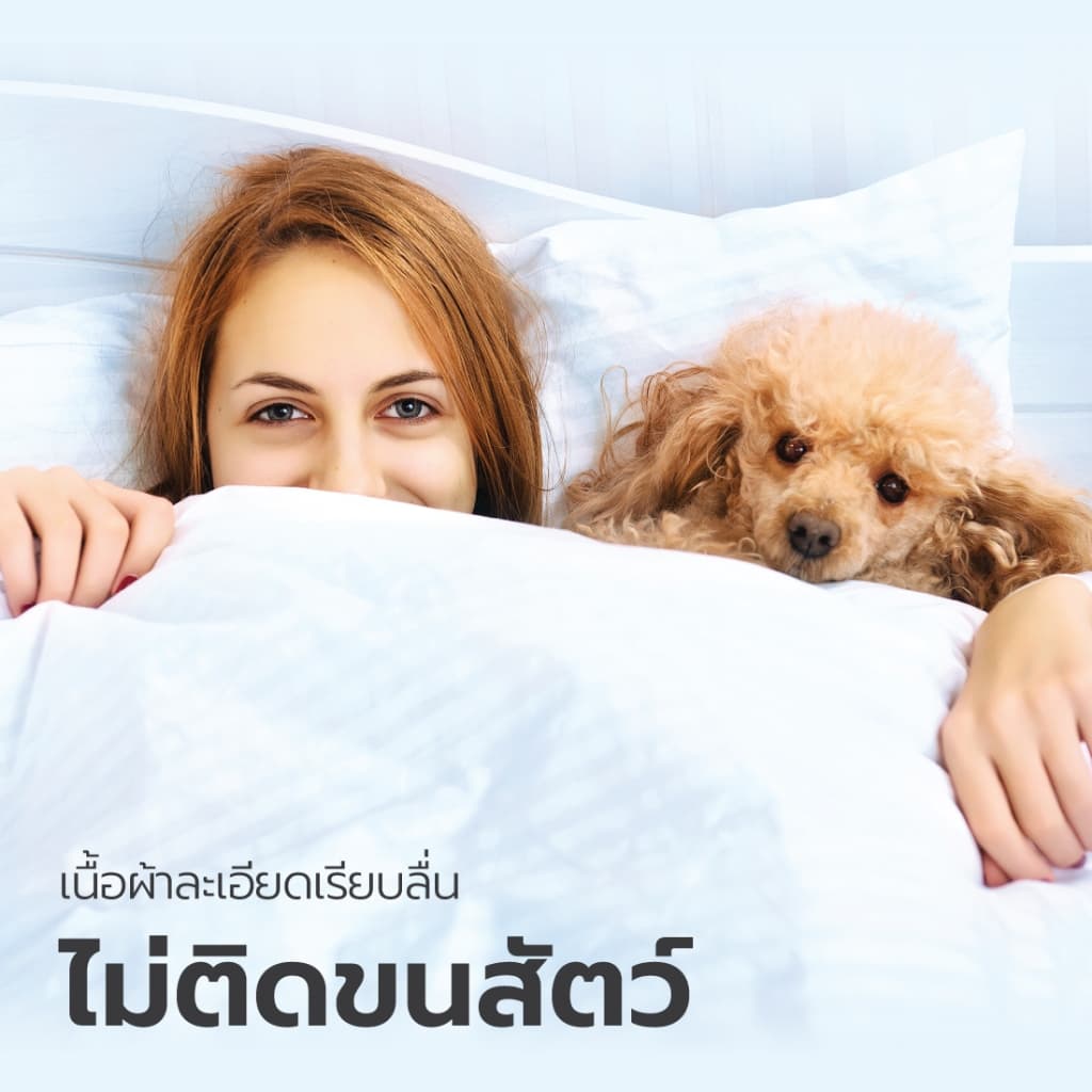 LUCKY mattress ชุดผ้าปูที่นอน Micro Touch Minimal Style Collection รูปที่ 5