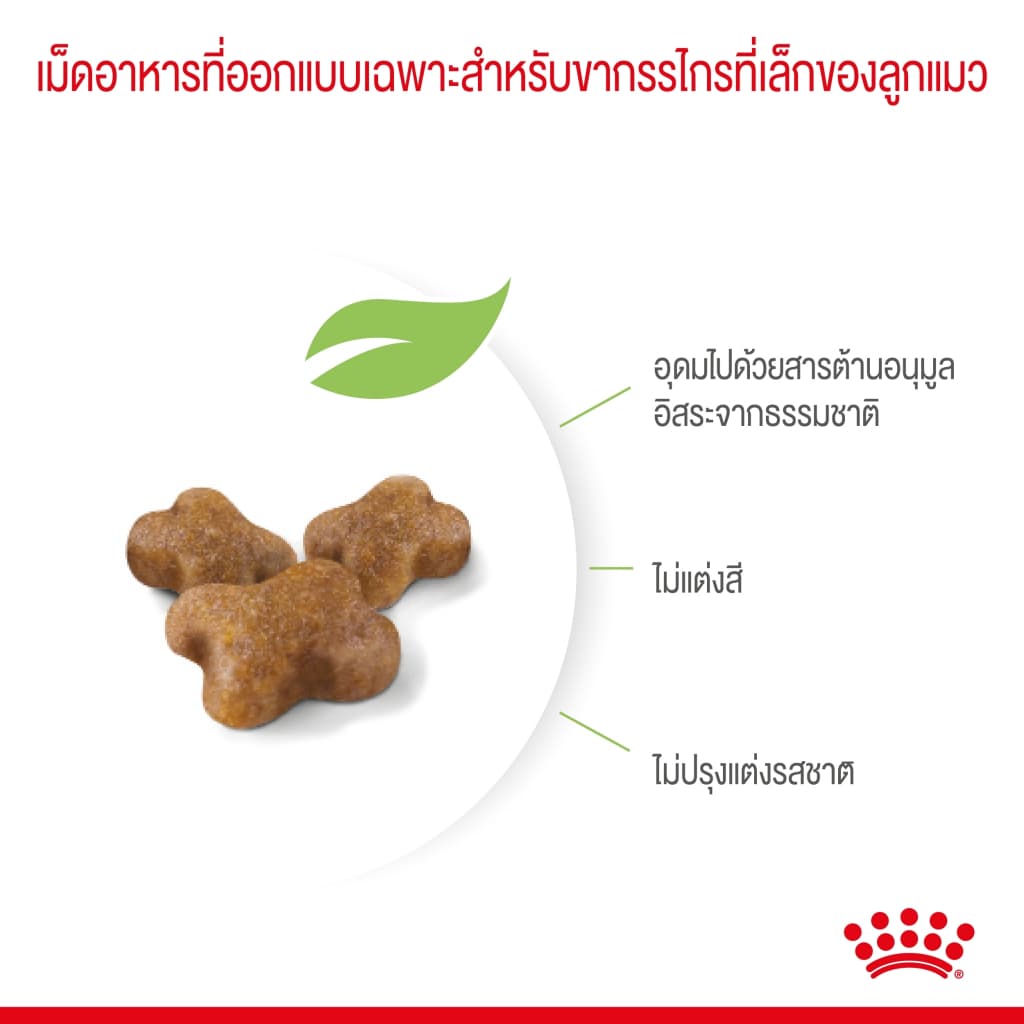 Royal Canin kitten 4kg สูตร ลูกแมว 4 kg สำหรับลูกแมว อายุ 4 - 12 เดือน รูปที่ 7