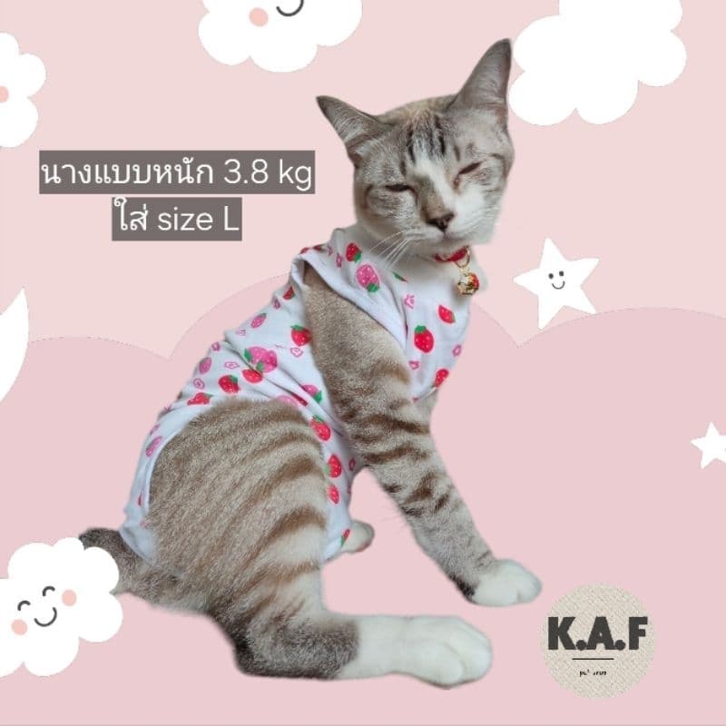 เสื้อทำหมันสัตว์เลี้ยง เสื้อแต่ละลายขนาดไม่เท่ากัน อ่านsizeก่อนสั่ง! รูปที่ 7
