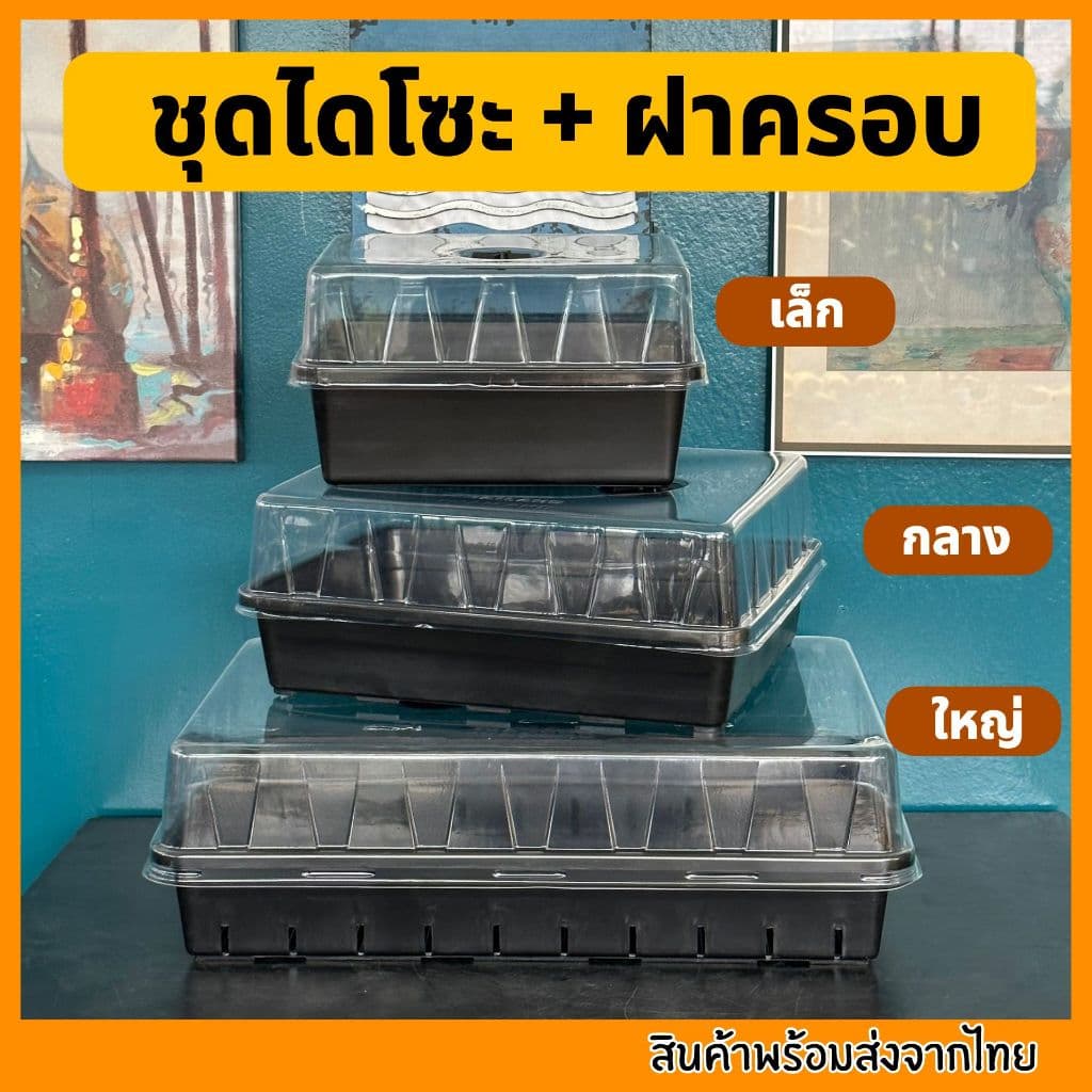 ชุดเพาะเมล็ด เซ็ตถาดไดโซะ ถาดทึบ ถาดรู ชุดเพาะชำ ฝาครอบ ถูกที่สุด รูปที่ 1