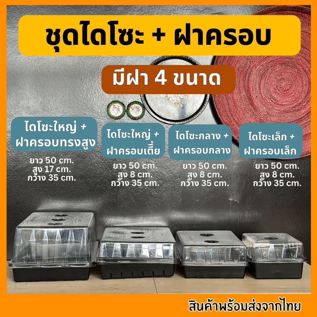 ชุดเพาะเมล็ด เซ็ตถาดไดโซะ ถาดทึบ ถาดรู ชุดเพาะชำ ฝาครอบ ถูกที่สุด รูปที่ 2