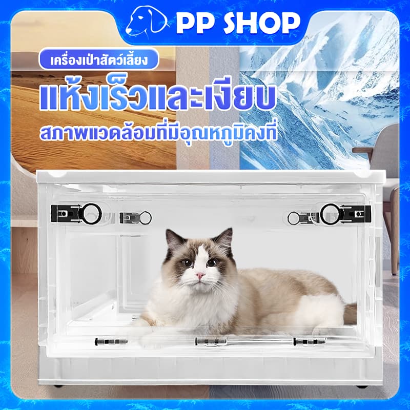 PP shop ล่องอบแห้งสัตว์เลี้ยง เครื่องเป่าขนแมว ตู้อบแมว ไดร์ขนสุนัข เสียงรบกวนต่ำ เป่าขนแมวแห้งเร็วภายใน15นาที รูปที่ 1