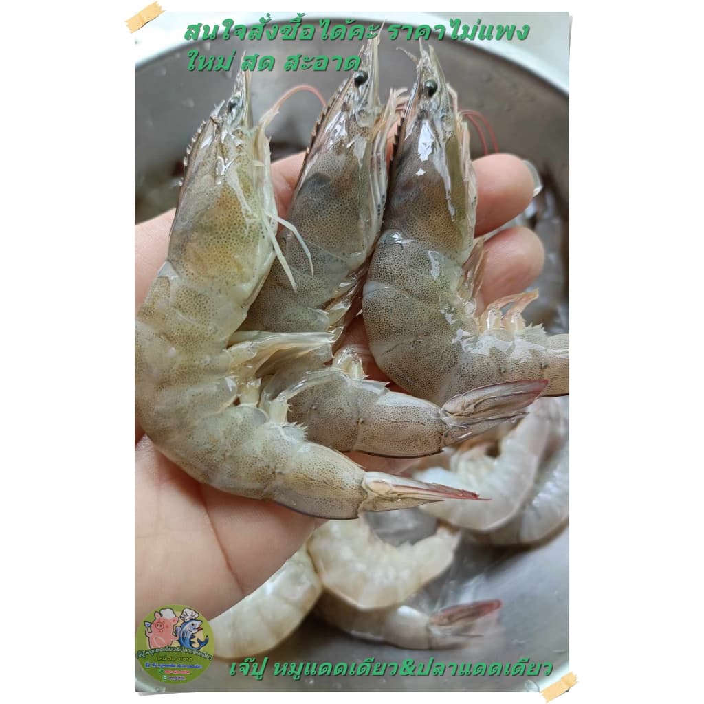 กุ้งดองซีอิ้วเกาหลี ใหม่ สด สะอาด แถมน้ำจิ้มซีฟูด รูปที่ 5