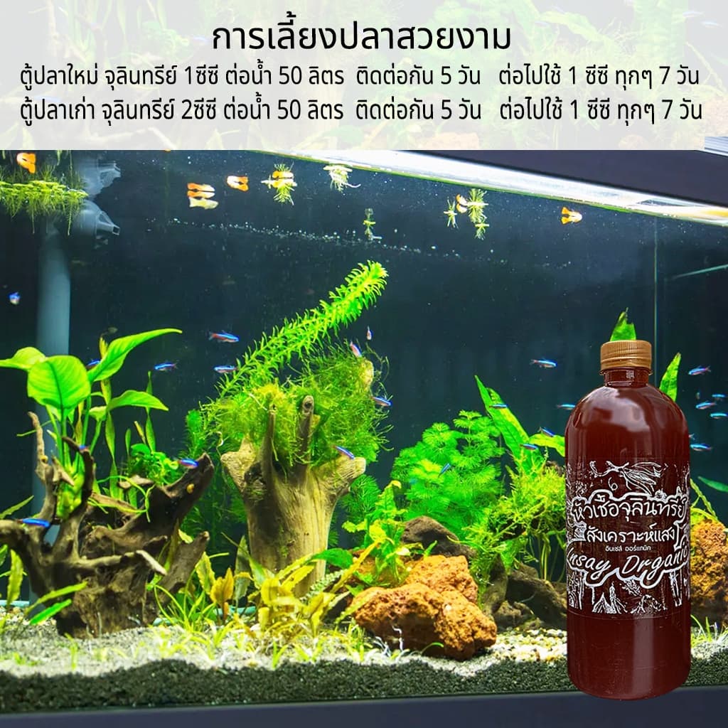INSAY ORGANIC จุลินทรีย์ ใช้บำบัดน้ำ ดับกลิ่น ปรับสภาพน้ำ ย่อยสลาย สำหรับเลี้ยงปลา กุ้ง รูปที่ 2