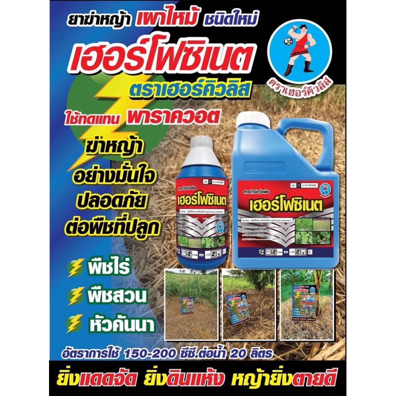 เฮอร์โฟซิเนต4ลิตร-มิตรสมบูรณ์***ยกลัง6แกลลอน*** : ชื่อสามัญกลูโฟซิเนต15%W/VSL รูปที่ 8