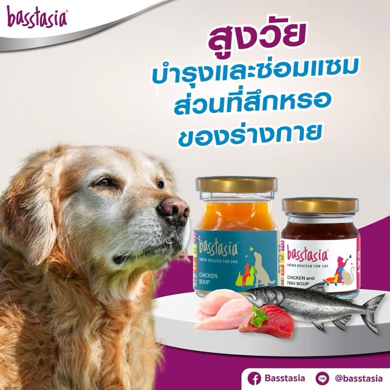 Basstasia น้ำซุปสำหรับสุนัขและแมว บำรุง ฟื้นฟู ซ่อมแซม รูปที่ 2