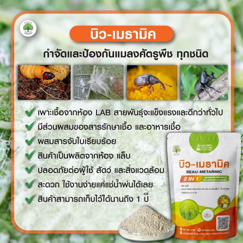 กำจัดเชื้อรา + กำจัดแมลง สาเหตุของการเกิดโรคในพืช ซุปเปอร์ไตรโค+บิว-เมธทมิค ตราเทพมงคล รูปที่ 7