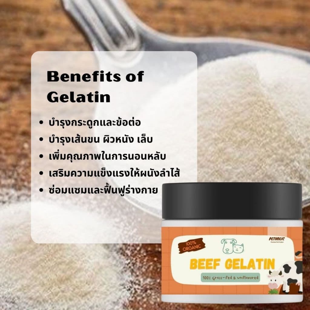 เจลาติน 100% Grass Fed Beef Gelatin Powder สำหรับทำเยลลี่สัตว์เลี้ยง รูปที่ 2