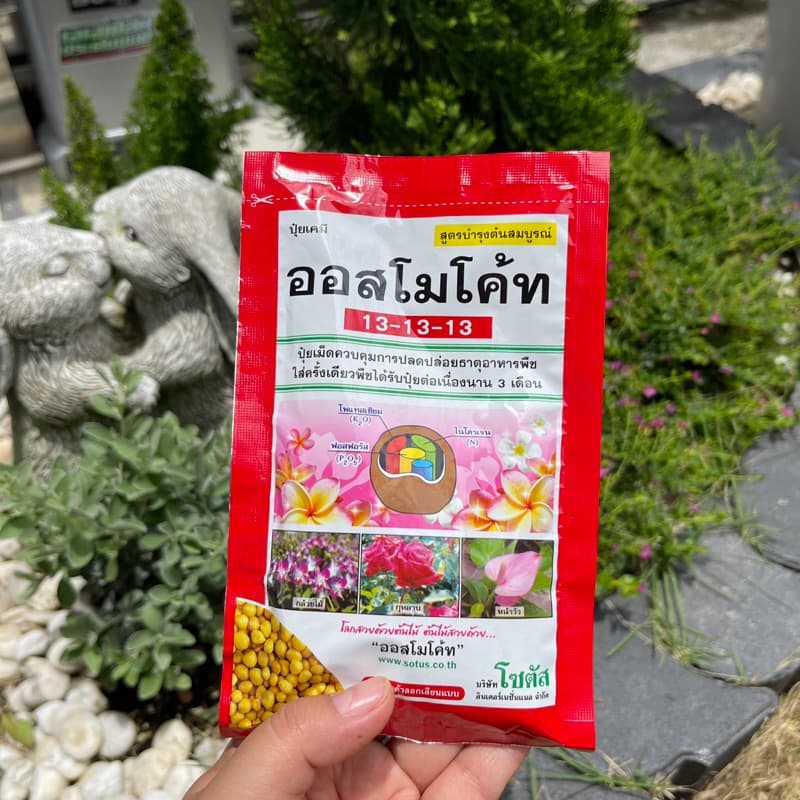 ปุ๋ยออสโมโค้ด ปุ๋ยละลายช้า 13-13-13/ปุ๋ยบำรุงดอก 12-25-6+mg1% สตาร์เกิลจี รองก้นหลุมหรือโรยรอบโคนต้น รูปที่ 1