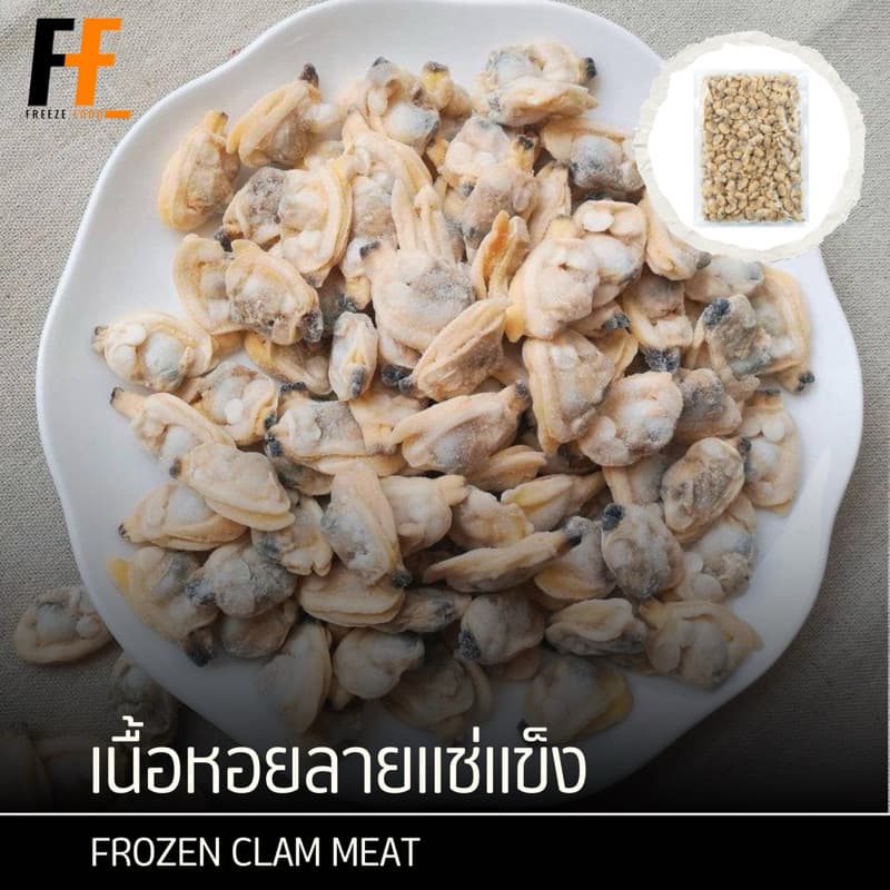เนื้อหอยลายแช่แข็ง 1 กิโลกรัม | FROZEN CLAM MEAT รูปที่ 1