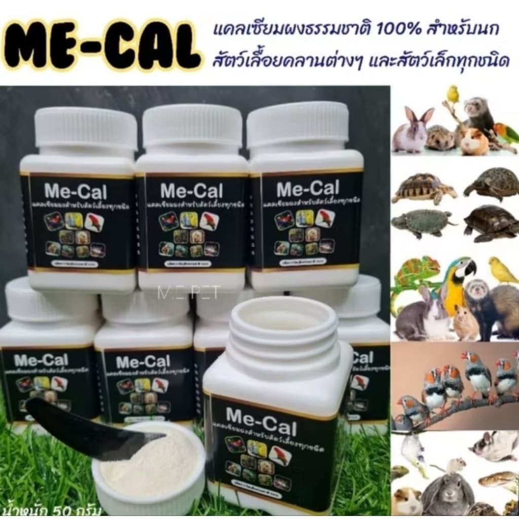 เซ็ตเลี้ยงหอยทาก และอุปกรณ์สำหรับเลี้ยงหอยทาก รูปที่ 7