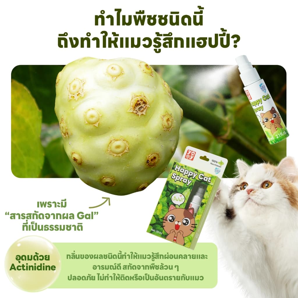 yoyopet : Happy cat spray สเปรย์แมวขี้อ้อน แมวฟิน ขี้เล่น สารสกัดธรรมชาติ ปลอดภัย รูปที่ 6