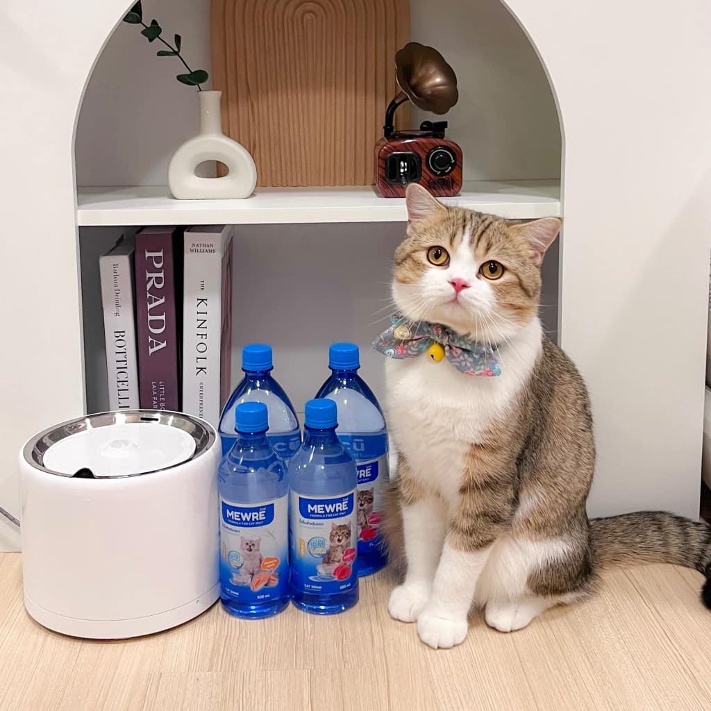 Pawblic น้ำดื่มสำหรับแมว น้ำดื่มแมวมิวเร่ เซ็ตสุดคุ้ม 6 ขวด สูตรธรรมชาติ ป้องกันนิ่วในไต มีตัวเลือกมากมายให้เลือก รูปที่ 6