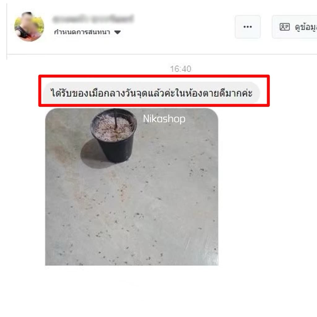 -แบบห่อ-ธูปไล่ยุงตรามังกร )ยุงตายเรียบ รุ่นไม่มีกล่อง รูปที่ 4