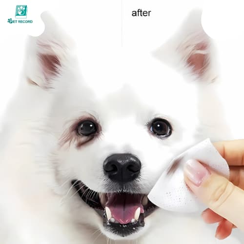 Pet Record แผ่นเช็ดสุนัขและแมว ที่เช็ดตาแมว ตา หู แบบอ่อนโยน สำหรับแมวและสุนัข ทิชชู่เปียกเช็ดคราบน้ำตา บรรจุ 130แผ่น รูปที่ 7