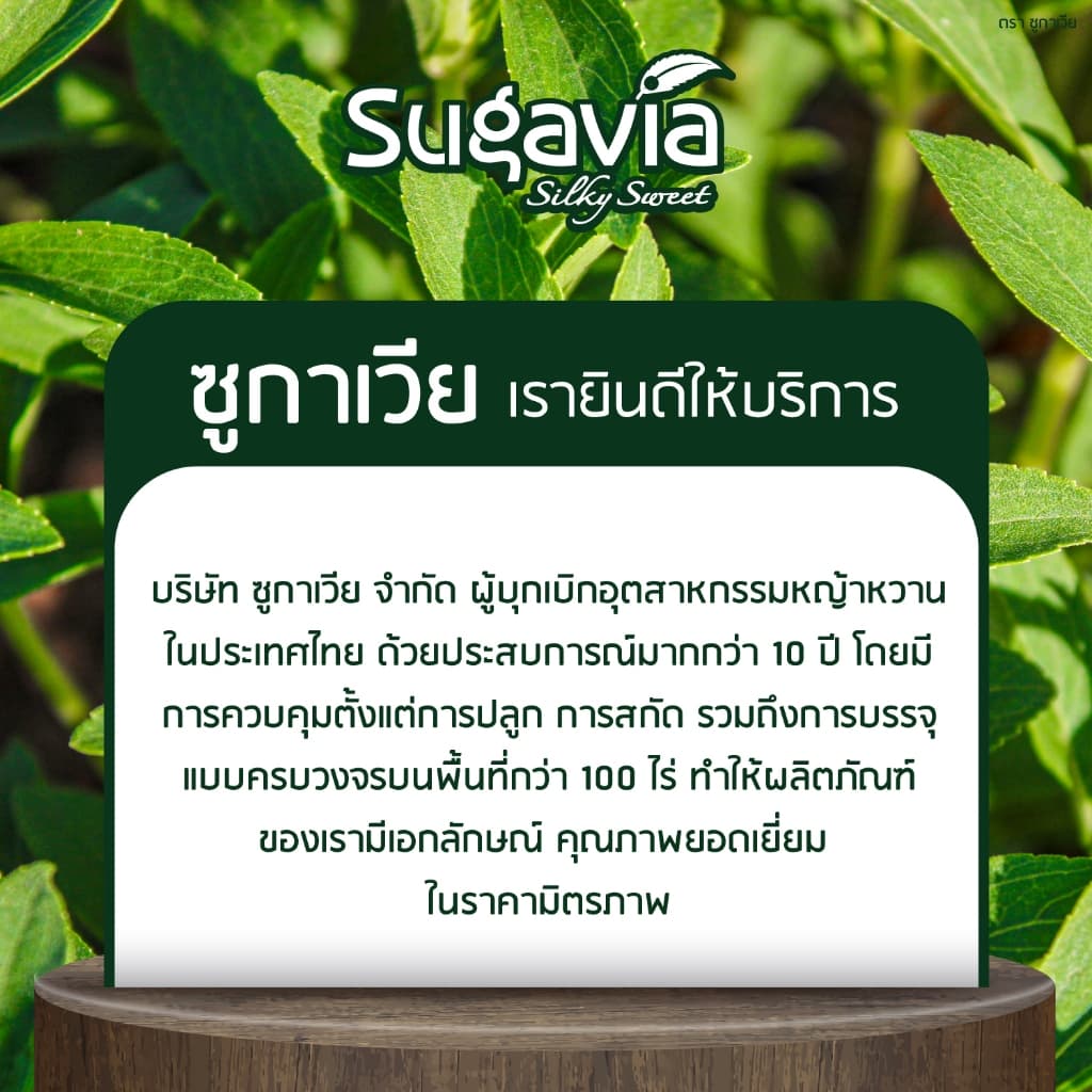น้ำตาลหญ้าหวาน ชนิดซองฉีกใช้ / 1 ซอง เบาหวานทานได้ ออร์แกนิค ตรา Sugavia รูปที่ 7