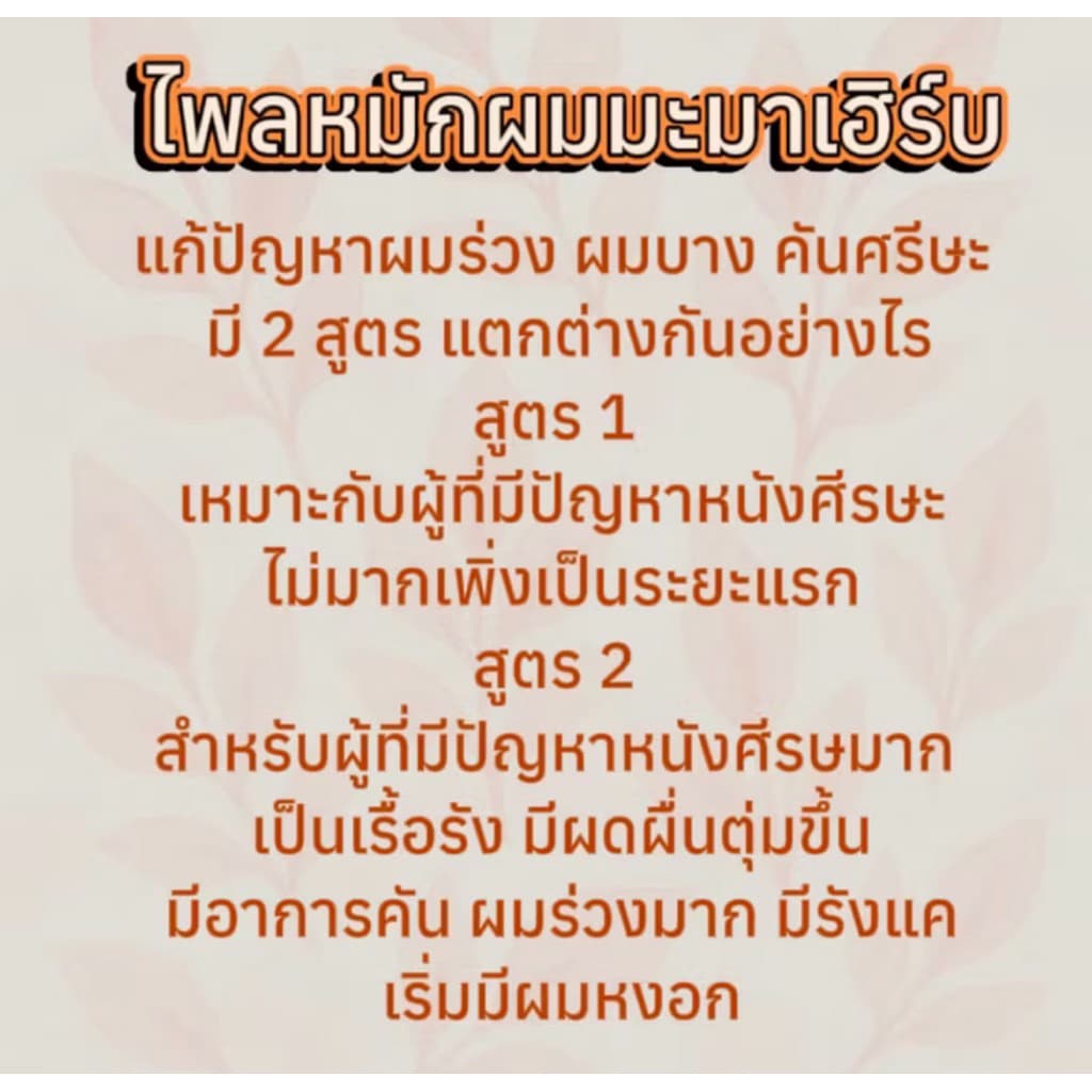 สินค้าขายดี ไพลหมักผม มะมาเฮิร์บ สูตร 1 ดูแลเส้นผมและหนังศรีษะ รูปที่ 8