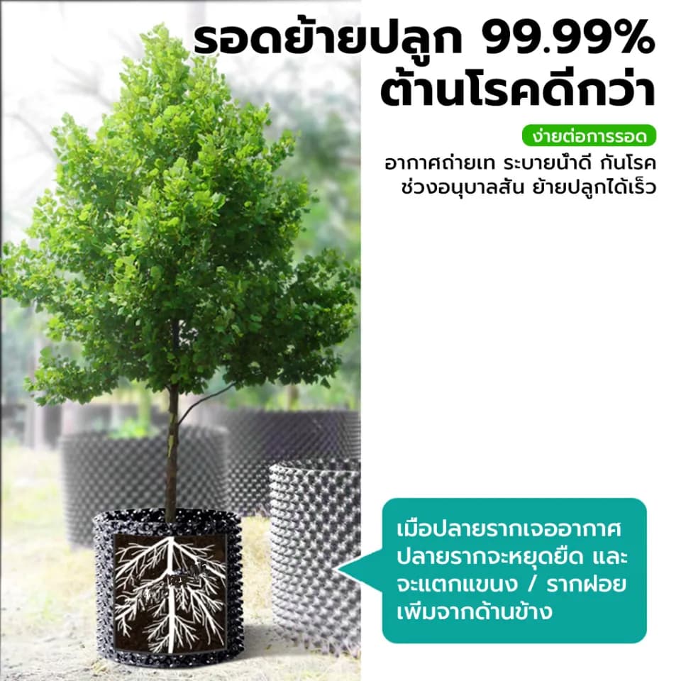 กระถางต้นไม้ Air Pot รุ่น กระถางแอร์พอต กระถางปลูกต้นไม้เร่งราก สดุพลาสติกเกรด HDPE ไม่แตกง่าย การันตีคุณภาพจาก รูปที่ 6