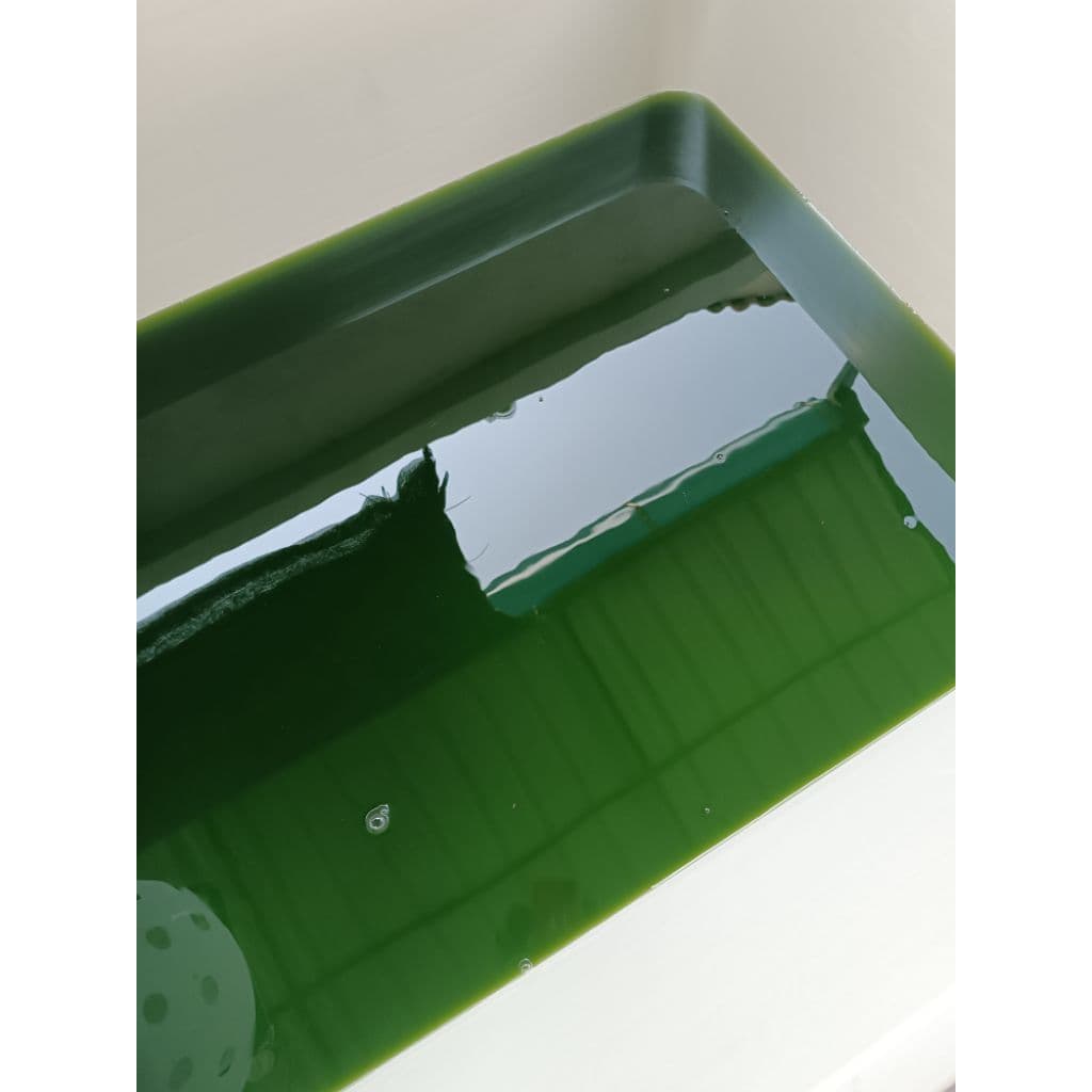 หัวเชื้อน้ำเขียว Chlorella สาหร่ายคอลเรลล่า สำหรับเพาะเลี้ยงไรแดง รูปที่ 4