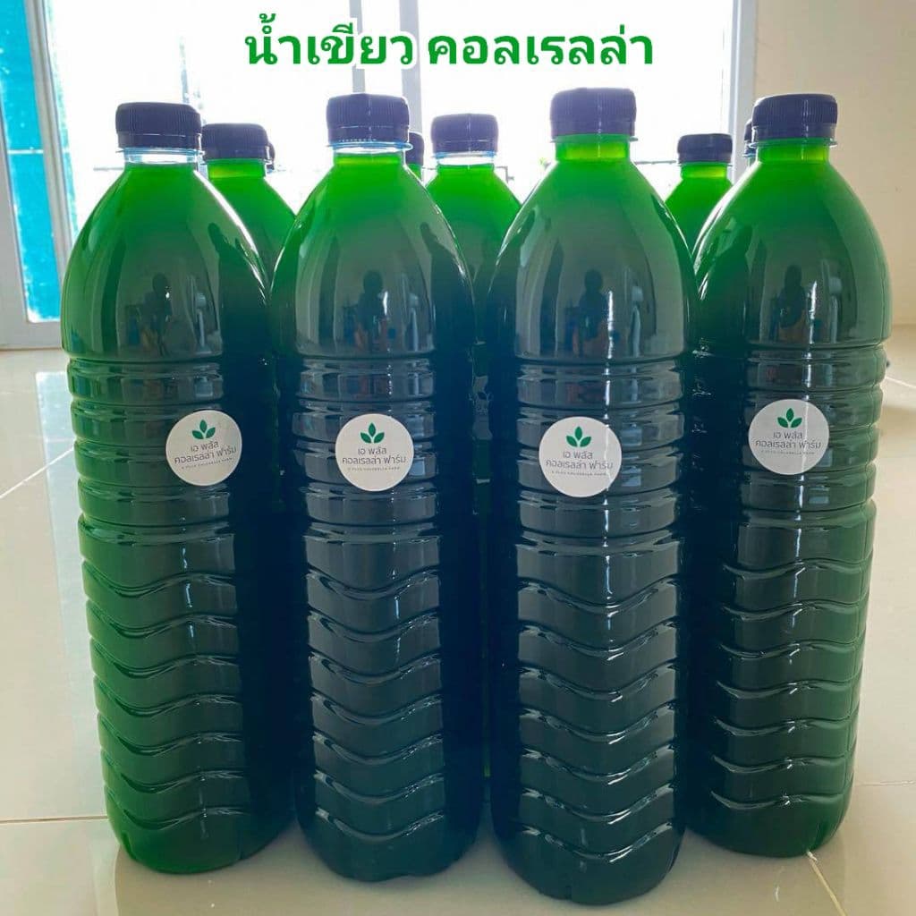 หัวเชื้อน้ำเขียว Chlorella สาหร่ายคอลเรลล่า สำหรับเพาะเลี้ยงไรแดง รูปที่ 1