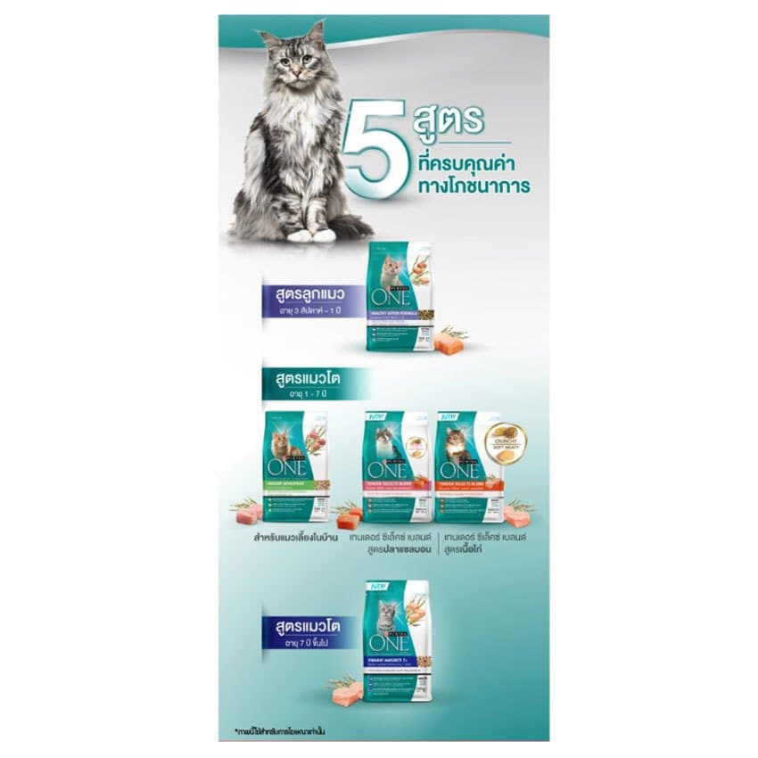 เพียวริน่า วัน อาหารสำหรับแมวโตชนิดเม็ด ขนาด 6.6 กิโลกรัม PURINA ONE ADULT CAT FOOD DRY 6.6 KG. รูปที่ 9