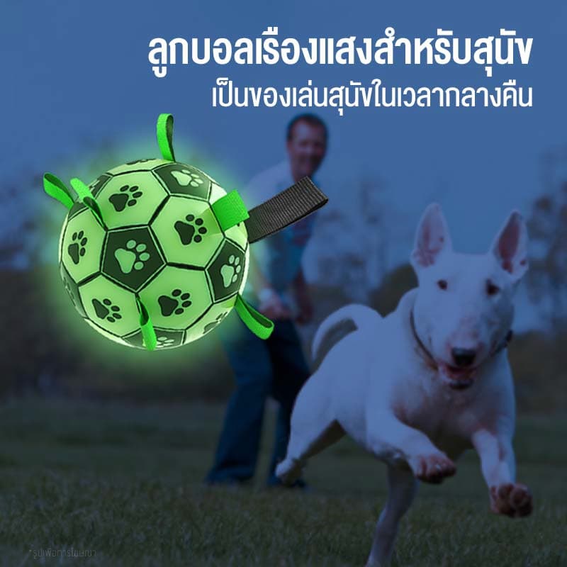 MOMOVIDA ลูกบอลสุนัข ของเล่นสำหรับออกกำลังกายและฝึกสุนัข ของเล่นสุนัขแก้เหงา ช่วยขัดฟัน ลูกบอลเรืองแสง รุ่น DT-8/DT-8L รูปที่ 4