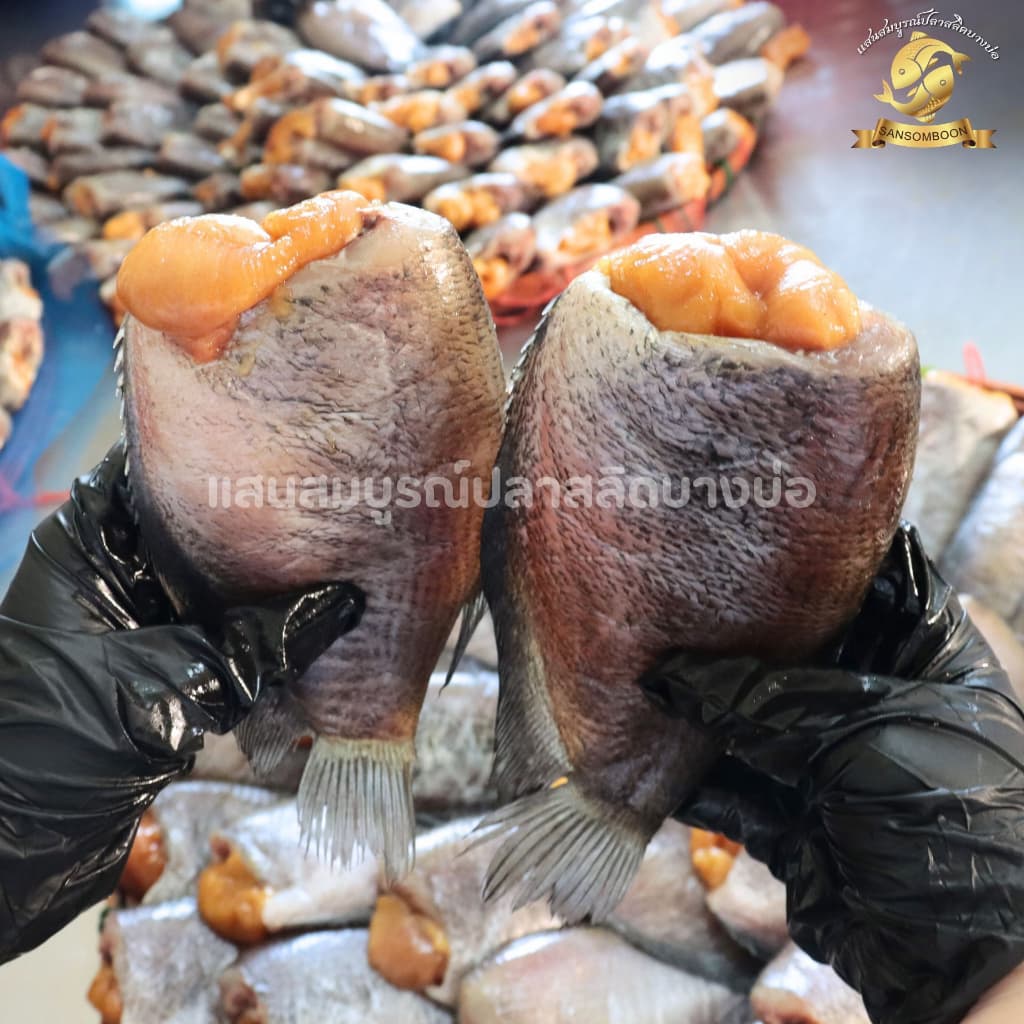 ปลาสลิดแดดเดียวใหญ่พิเศษ แสนสมบูรณ์ปลาสลิดบางบ่อ ขนาด 6 ตัวโล รูปที่ 3