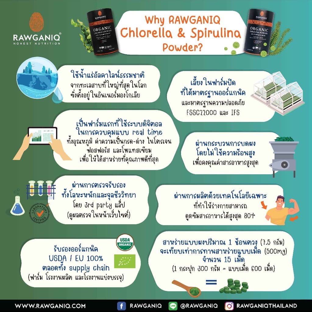 ผงสาหร่ายสไปรูลิน่า สาหร่ายเกลียวทองออร์แกนิค มีผลแลป Organic Spirulina Powder รูปที่ 5