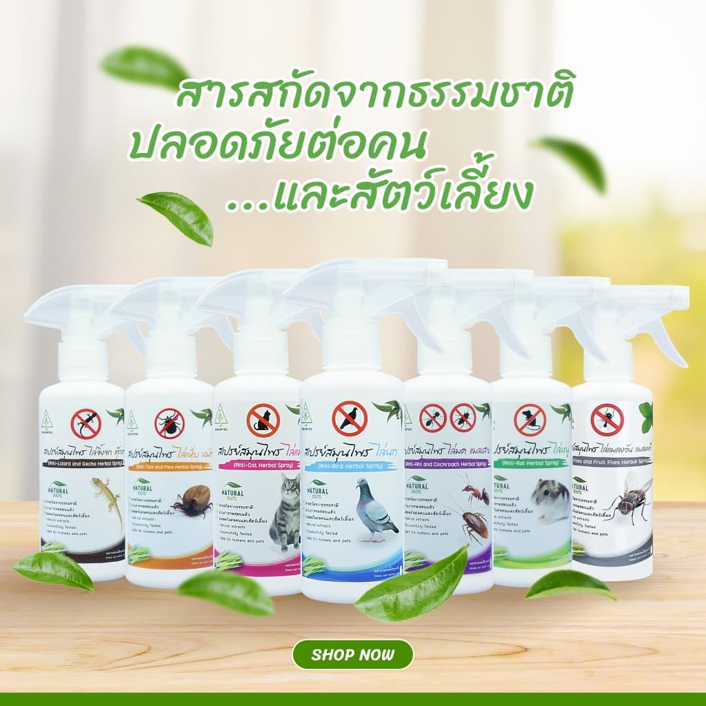 ‼ไล่แมลงวัน แมลงหวี่ ‼SAMUNPINE สเปรย์ไล่แมลงวัน แมลงหวี่ สูตรเข้มข้น ปกป้องนาน 8 ชม. ขนาด 450 ml. รูปที่ 4